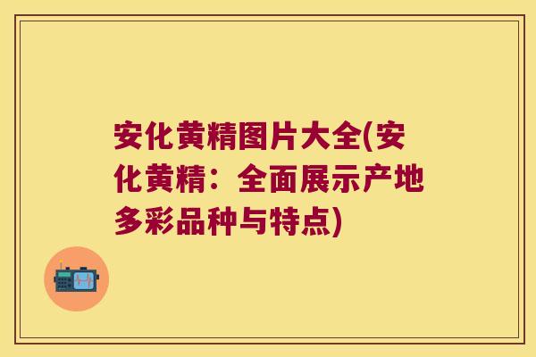 安化黄精图片大全(安化黄精:全面展示产地多彩品种与特点) 安化黄精图片大全(安化黄精:全面展示产地多彩品种与特点)
