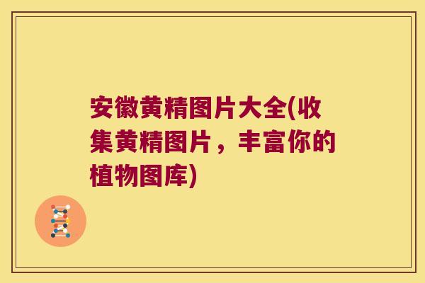 安徽黄精图片大全(收集黄精图片，丰富你的植物图库)
