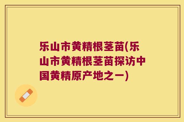 乐山市黄精根茎苗(乐山市黄精根茎苗探访中国黄精原产地之一) 乐山市黄精根茎苗(乐山市黄精根茎苗探访中国黄精原产地之一)