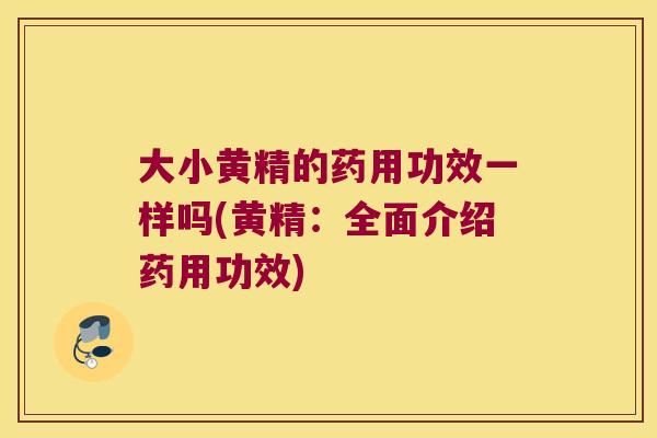 大小黄精的药用功效一样吗(黄精：全面介绍药用功效)