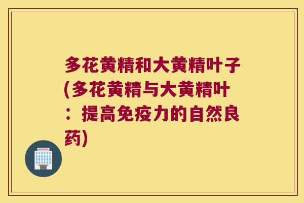 多花黄精和大黄精叶子(多花黄精与大黄精叶:提高力的自然良药) 多花黄精和大黄精叶子(多花黄精与大黄精叶:提高力的自然良药)