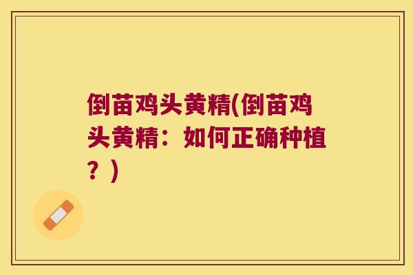 倒苗鸡头黄精(倒苗鸡头黄精:如何正确种植?) 倒苗鸡头黄精(倒苗鸡头黄精:如何正确种植?)