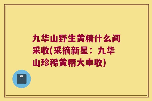 九华山野生黄精什么间采收(采摘新星:九华山珍稀黄精大丰收) 九华山野生黄精什么间采收(采摘新星:九华山珍稀黄精大丰收)