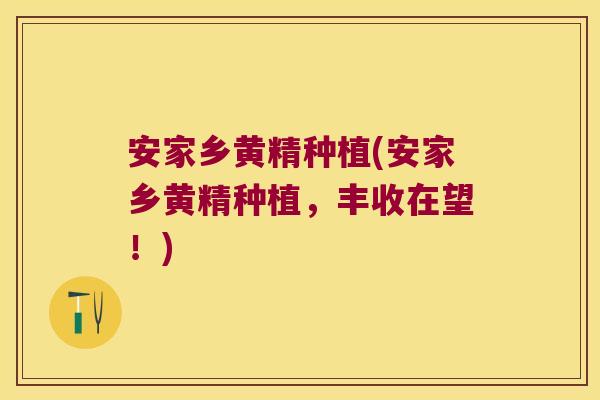 安家乡黄精种植(安家乡黄精种植，丰收在望！)