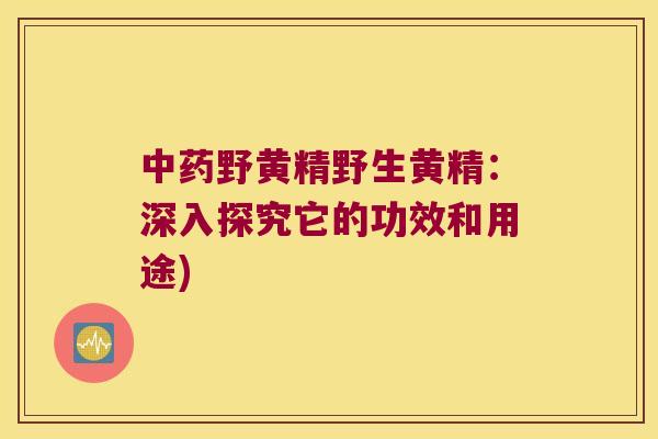 野黄精野生黄精：深入探究它的功效和用途)