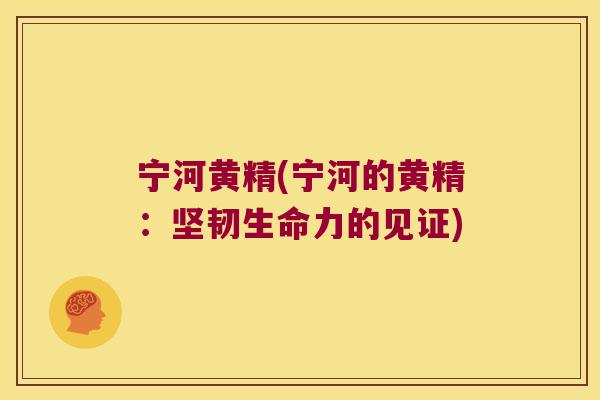 宁河黄精(宁河的黄精：坚韧生命力的见证)