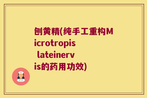 刨黄精(纯手工重构Microtropis lateinervis的药用功效)