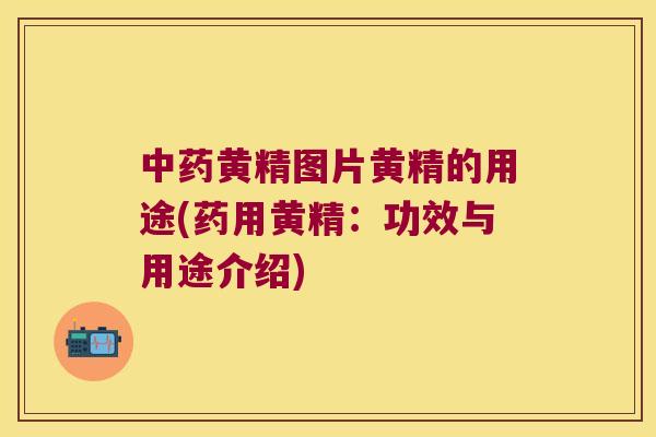 黄精图片黄精的用途(药用黄精：功效与用途介绍)