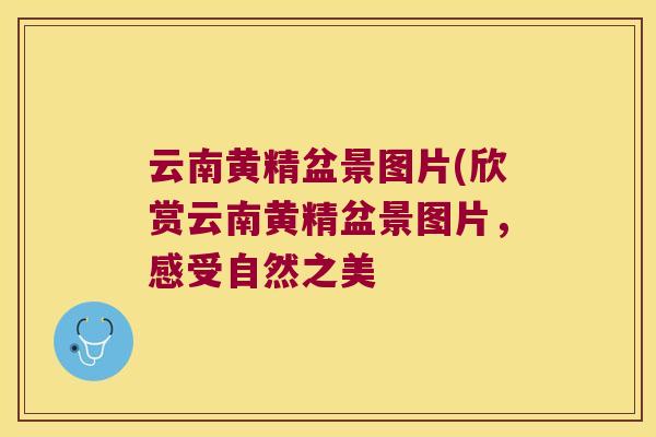 云南黄精盆景图片(欣赏云南黄精盆景图片,感受自然之美 云南黄精盆景图片(欣赏云南黄精盆景图片,感受自然之美