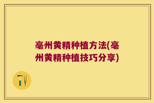 亳州黄精种植方法(亳州黄精种植技巧分享) 亳州黄精种植方法(亳州黄精种植技巧分享)