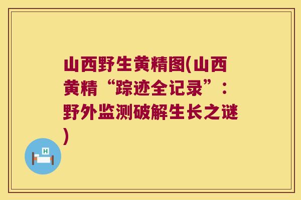 山西野生黄精图(山西黄精“踪迹全记录”：野外监测破解生长之谜)