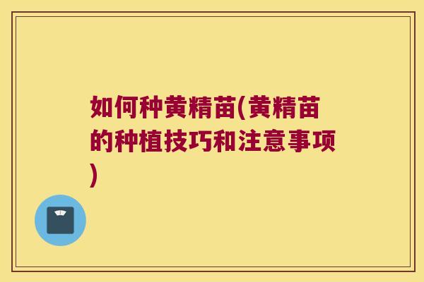 如何种黄精苗(黄精苗的种植技巧和注意事项)