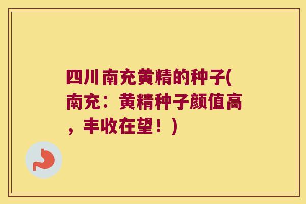 四川南充黄精的种子(南充:黄精种子颜值高,丰收在望!) 四川南充黄精的种子(南充:黄精种子颜值高,丰收在望!)