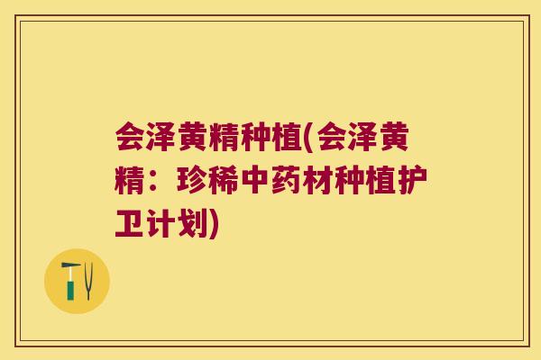 会泽黄精种植(会泽黄精：珍稀材种植护卫计划)