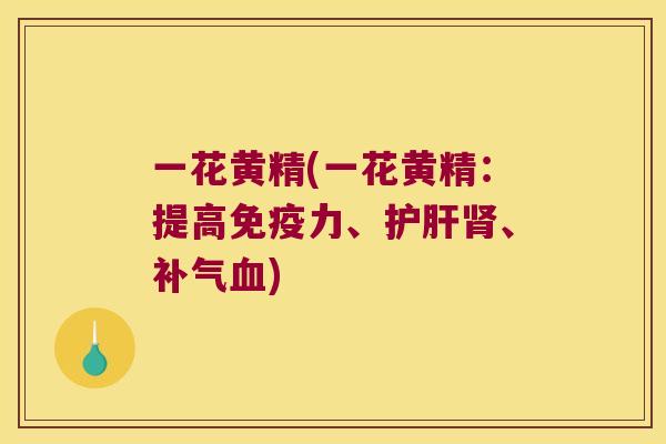 一花黄精(一花黄精：提高力、、)