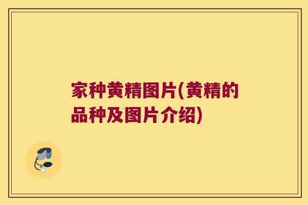 家种黄精图片(黄精的品种及图片介绍)