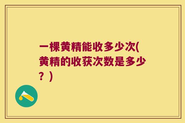 一棵黄精能收多少次(黄精的收获次数是多少?) 一棵黄精能收多少次(黄精的收获次数是多少?)