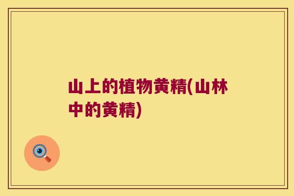 山上的植物黄精(山林中的黄精)