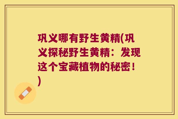 巩义哪有野生黄精(巩义探秘野生黄精:发现这个宝藏植物的秘密!) 巩义哪有野生黄精(巩义探秘野生黄精:发现这个宝藏植物的秘密!)
