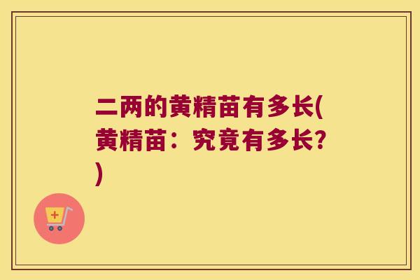 二两的黄精苗有多长(黄精苗：究竟有多长？)