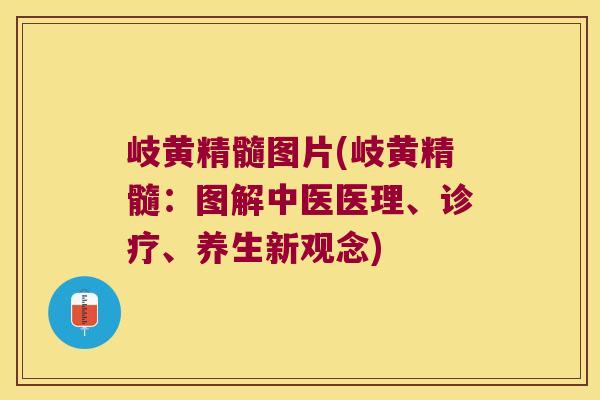 岐黄精髓图片(岐黄精髓：图解中医医理、诊疗、养生新观念)