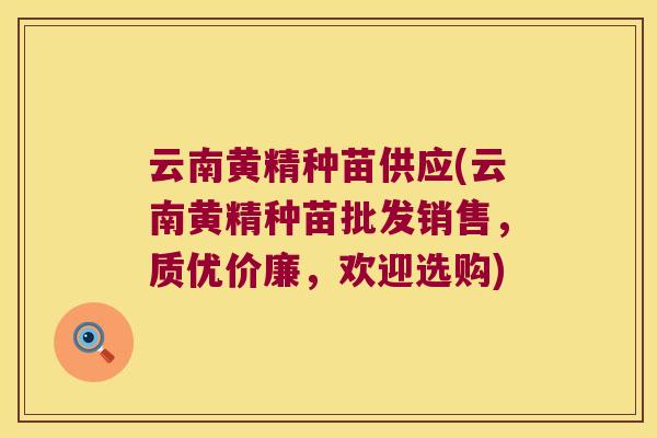 云南黄精种苗供应(云南黄精种苗批发销售，质优价廉，欢迎选购)