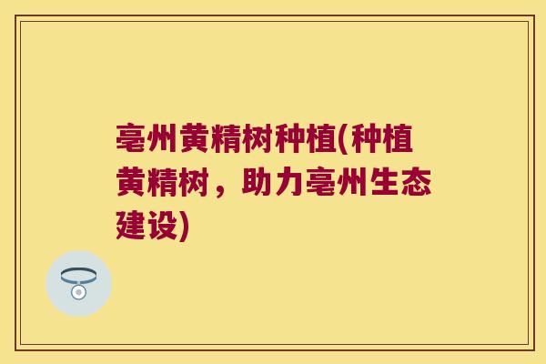 亳州黄精树种植(种植黄精树，助力亳州生态建设)