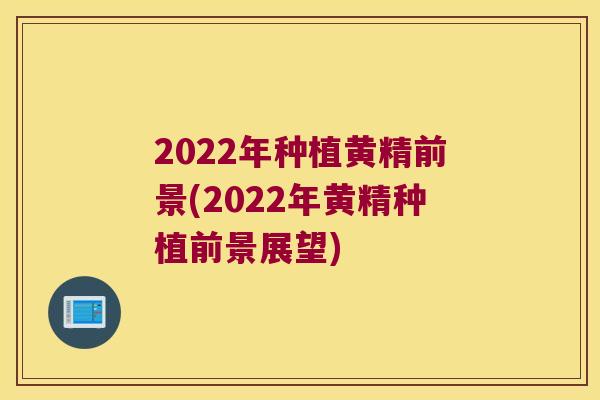 2022年种植黄精前景(2022年黄精种植前景展望)