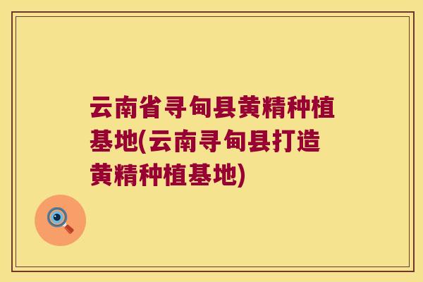 云南省寻甸县黄精种植基地(云南寻甸县打造黄精种植基地)