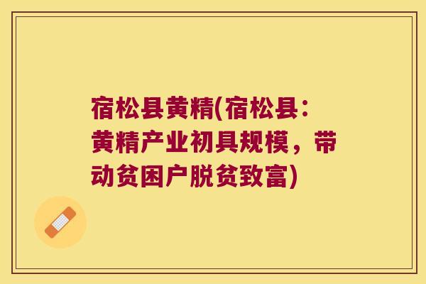 宿松县黄精(宿松县:黄精产业初具规模,带动贫困户脱贫致富) 宿松县黄精(宿松县:黄精产业初具规模,带动贫困户脱贫致富)