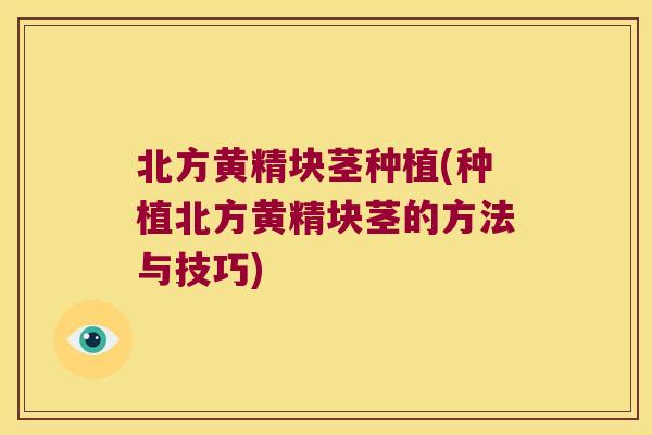 北方黄精块茎种植(种植北方黄精块茎的方法与技巧) 北方黄精块茎种植(种植北方黄精块茎的方法与技巧)