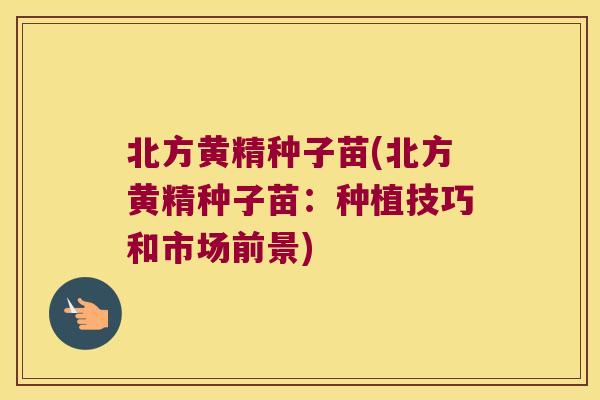 北方黄精种子苗(北方黄精种子苗:种植技巧和市场前景) 北方黄精种子苗(北方黄精种子苗:种植技巧和市场前景)
