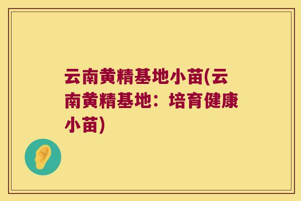 云南黄精基地小苗(云南黄精基地:培育健康小苗) 云南黄精基地小苗(云南黄精基地:培育健康小苗)