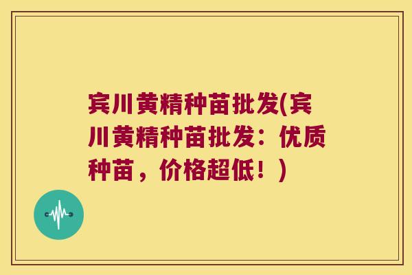 宾川黄精种苗批发(宾川黄精种苗批发:优质种苗,价格超低!) 宾川黄精种苗批发(宾川黄精种苗批发:优质种苗,价格超低!)