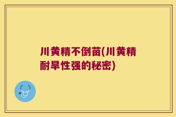 川黄精不倒苗(川黄精耐旱性强的秘密) 川黄精不倒苗(川黄精耐旱性强的秘密)