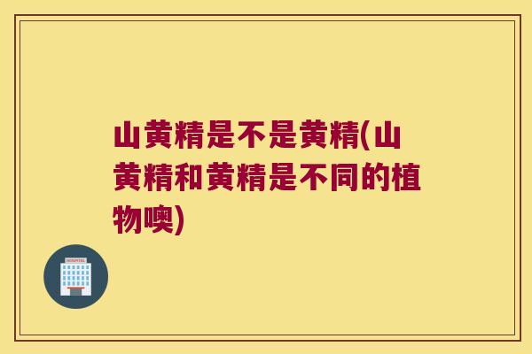 山黄精是不是黄精(山黄精和黄精是不同的植物噢) 山黄精是不是黄精(山黄精和黄精是不同的植物噢)