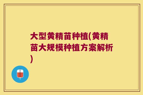 大型黄精苗种植(黄精苗大规模种植方案解析)