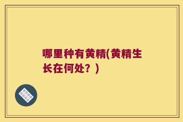 哪里种有黄精(黄精生长在何处？)