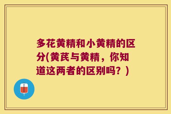 多花黄精和小黄精的区分(黄芪与黄精，你知道这两者的区别吗？)