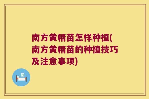 南方黄精苗怎样种植(南方黄精苗的种植技巧及注意事项)