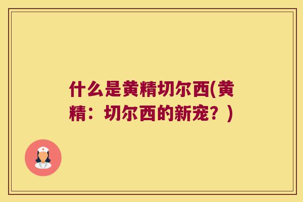 什么是黄精切尔西(黄精：切尔西的新宠？)
