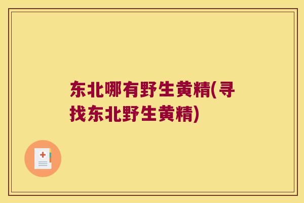 东北哪有野生黄精(寻找东北野生黄精)