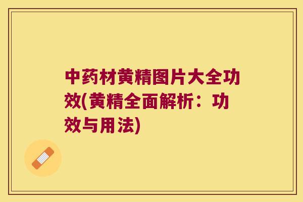 材黄精图片大全功效(黄精全面解析：功效与用法)