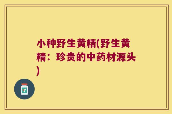 小种野生黄精(野生黄精:珍贵的材源头) 小种野生黄精(野生黄精:珍贵的材源头)