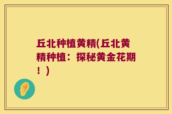 丘北种植黄精(丘北黄精种植:探秘黄金花期!) 丘北种植黄精(丘北黄精种植:探秘黄金花期!)