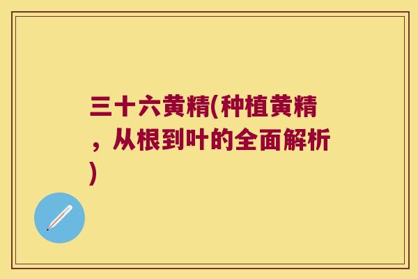 三十六黄精(种植黄精,从根到叶的全面解析) 三十六黄精(种植黄精,从根到叶的全面解析)