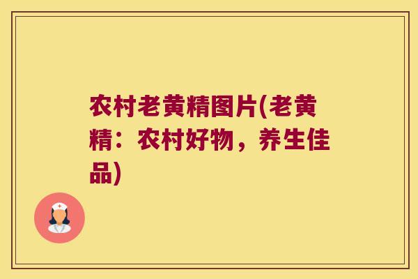 农村老黄精图片(老黄精:农村好物,养生佳品) 农村老黄精图片(老黄精:农村好物,养生佳品)