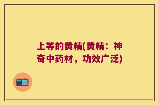 上等的黄精(黄精:神奇材,功效广泛) 上等的黄精(黄精:神奇材,功效广泛)