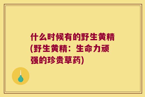 什么时候有的野生黄精(野生黄精：生命力顽强的珍贵草药)