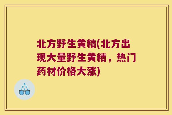 北方野生黄精(北方出现大量野生黄精,热门药材价格大涨) 北方野生黄精(北方出现大量野生黄精,热门药材价格大涨)